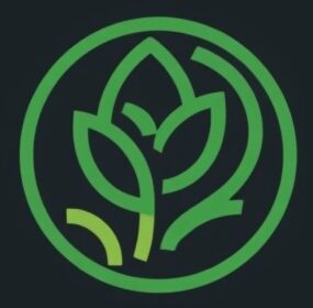 Detoxcenterii
